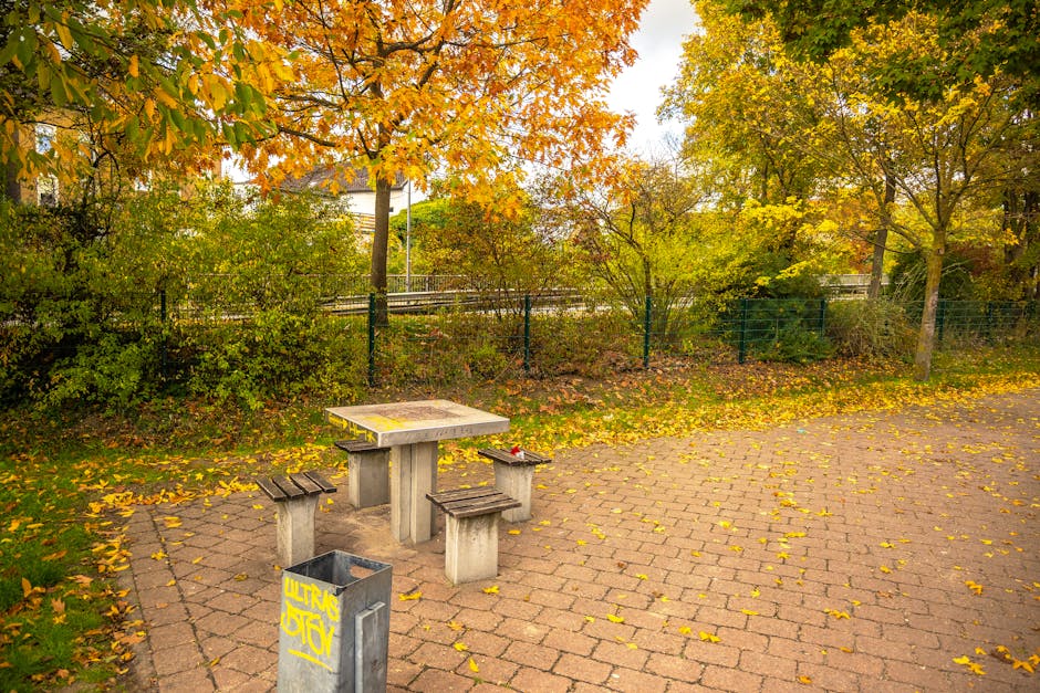 A dirty outdoor area covered with scattered litter, including torn cardboard boxes, crushed paper, and discarded packaging materials. The cardboard boxes are mostly green with white star logos, some t